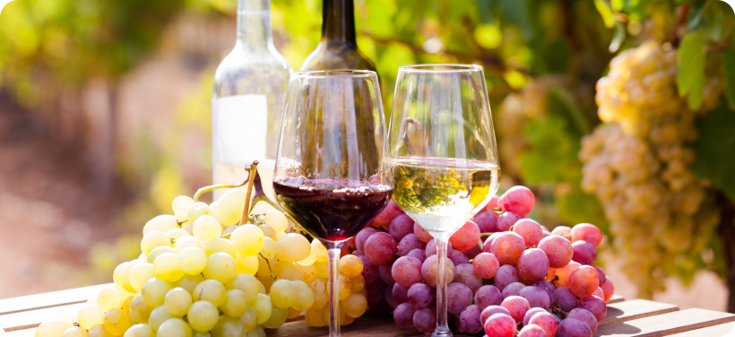 世界の食文化を日本へ 写真